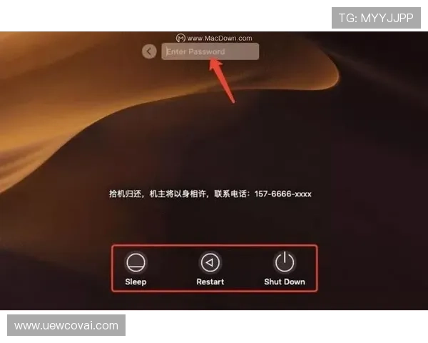 快速掌握AG国际网站登录流程,帮助新用户轻松完成账号登录设置