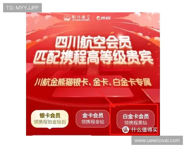 广东ag的贵宾会与普通会员的区别分析，尊贵会员享受的不同礼遇