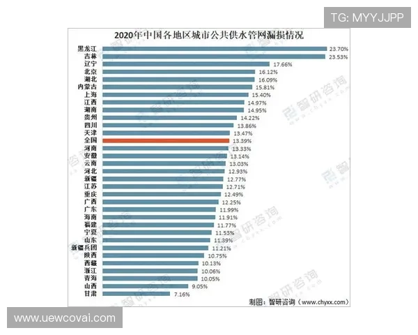 AG国际备用平台在行业中的优势分析及未来发展趋势全面解读